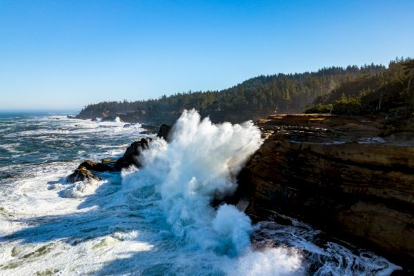 Waves crash against rocky cliffs, with a forested coastline in the background under a clear blue sky.