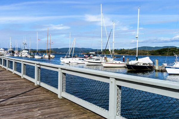 A wooden dock with a railing overlooks a calm marina filled with sailboats and yachts, set against a backdrop of hills and a blue sky.