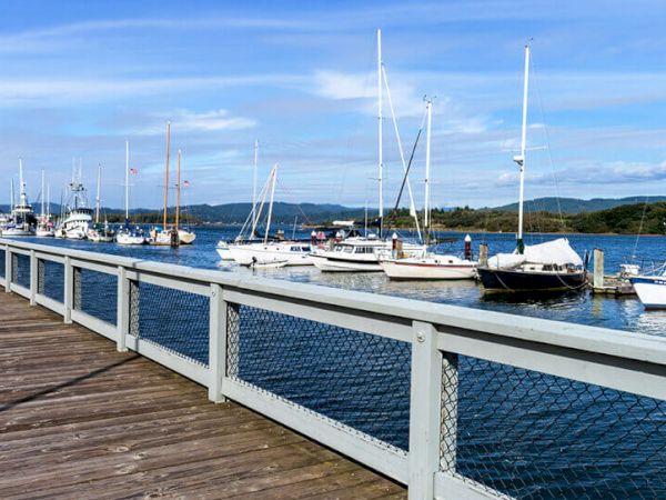 A wooden dock with a railing overlooks a calm marina filled with sailboats and yachts, set against a backdrop of hills and a blue sky.
