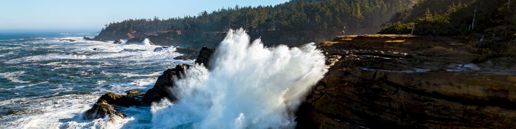 Waves crash against rocky cliffs under a bright blue sky, with a forested coastline visible in the background, highlighting nature's raw power and beauty.