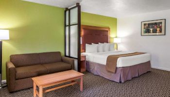 The image shows a hotel room with a bed, a brown couch, a wooden coffee table, two lamps, and a framed picture on a green and white wall.